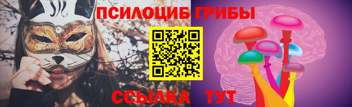 Тавда  Галлюциногенные грибы Psilocybine cubensis  наркотики  Вход с VPN 